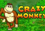 Crazy Monkey