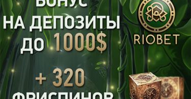 riobet casino