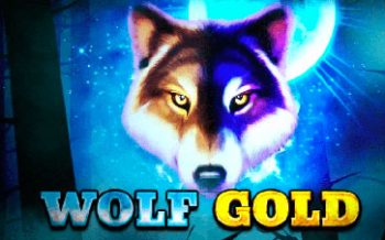 wolf-gold